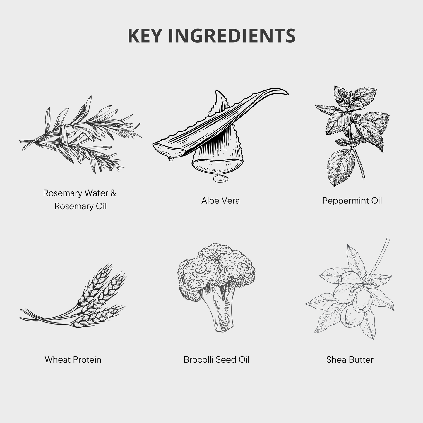Rosemary and Mint 2-in-1 Shampoo and Conditioner for Hair - 300ml