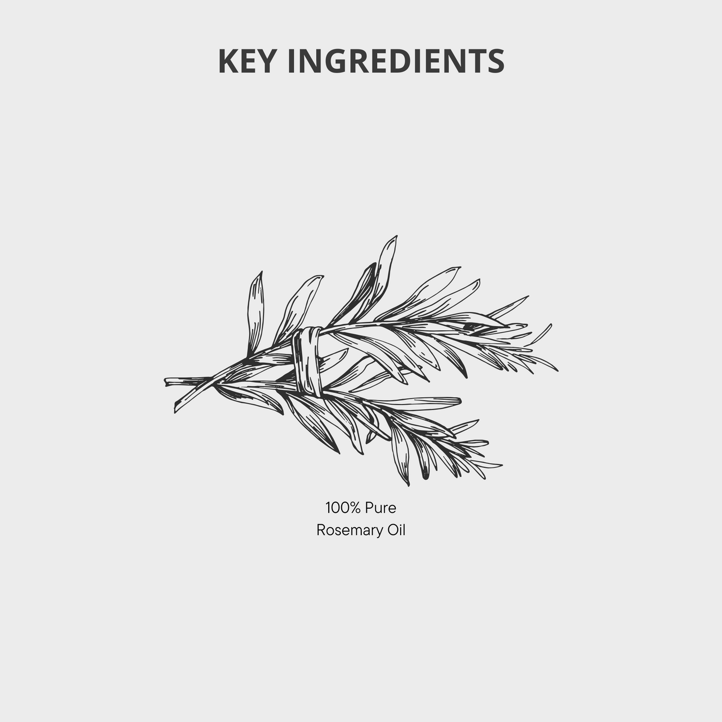 Rosemary 100% Pure Essential Oil - 20ml