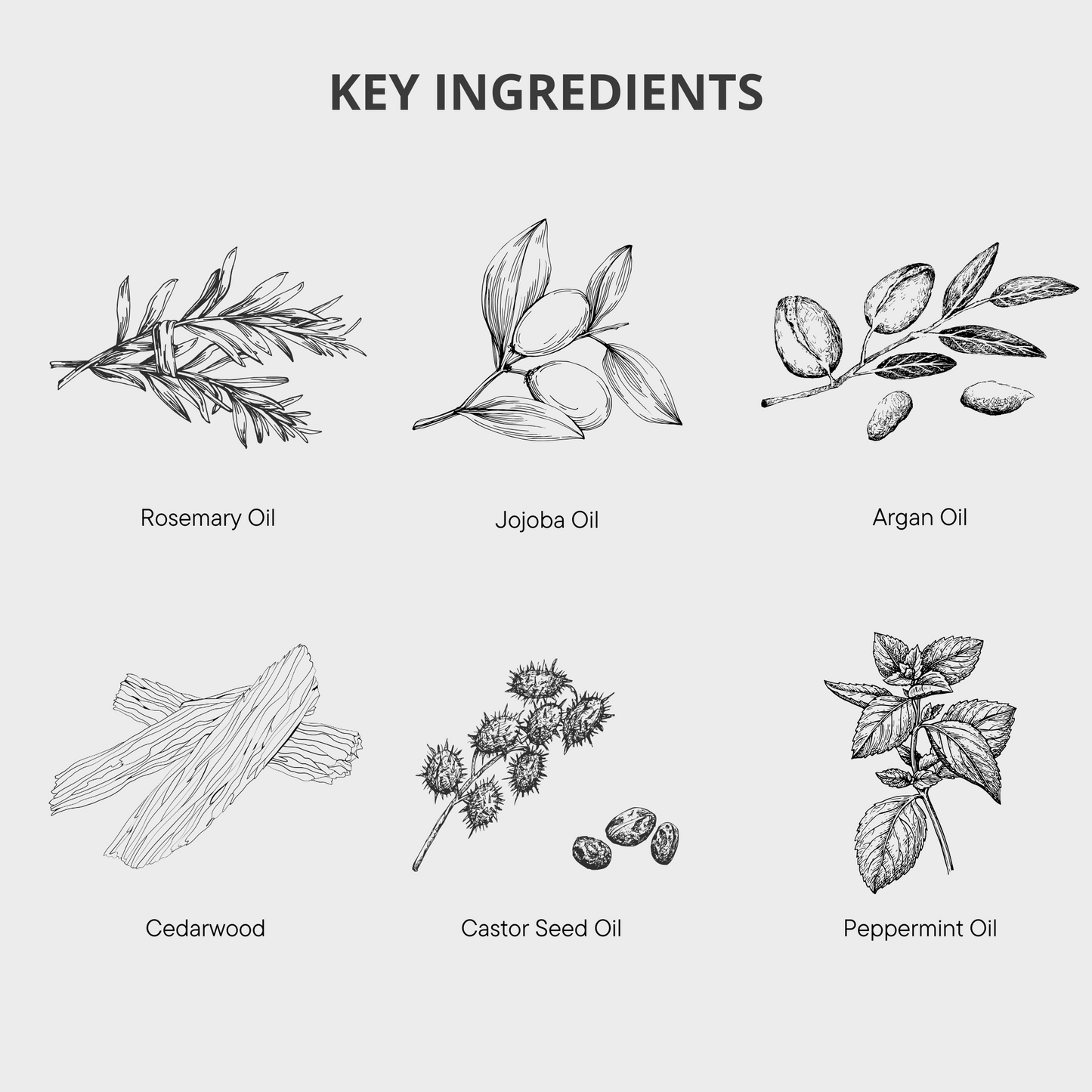 Rosemary Jojoba & Argan Hair Oil – Scalp Health & Nourishment – 100ml – NZ Made