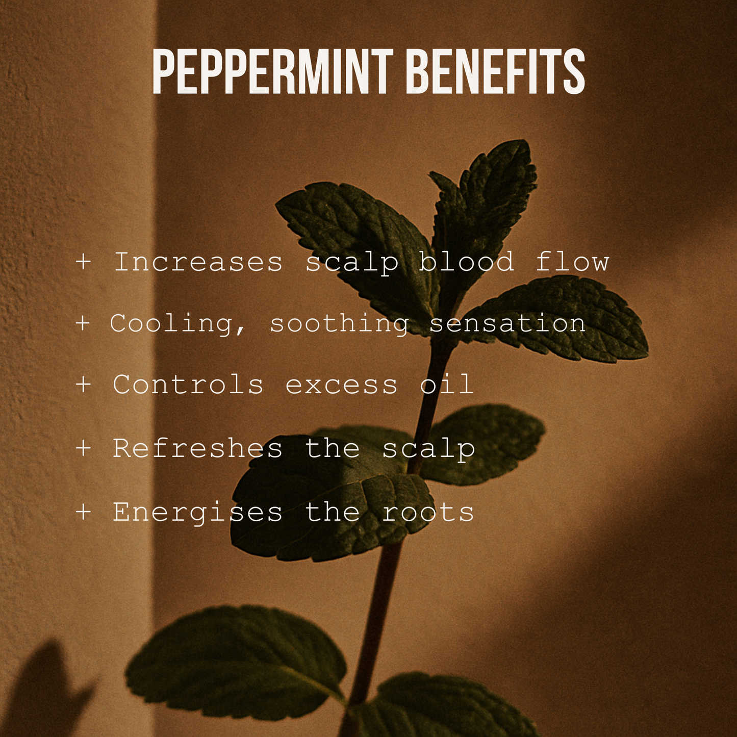 Rosemary Peppermint Shampoo - 250ml