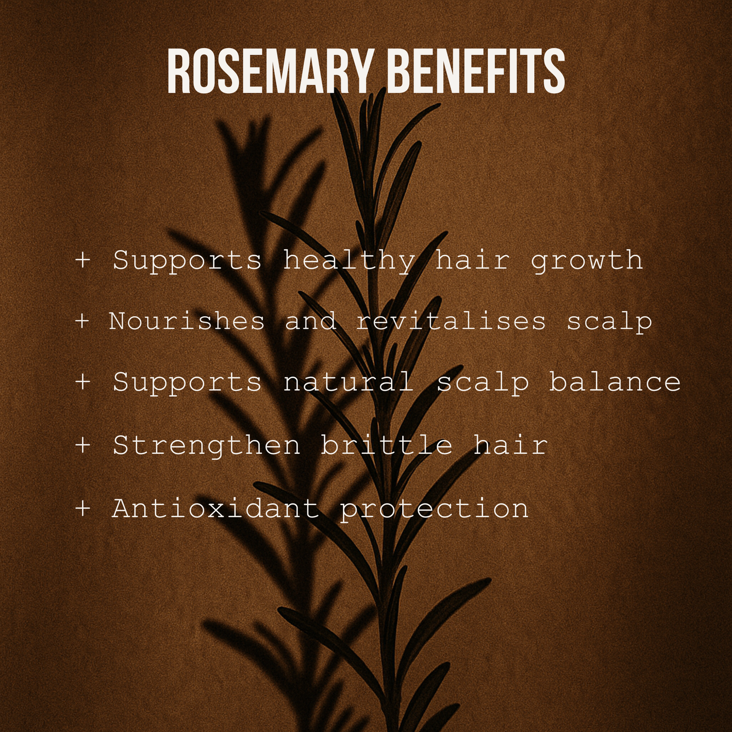 Rosemary Shampoo - 500ml