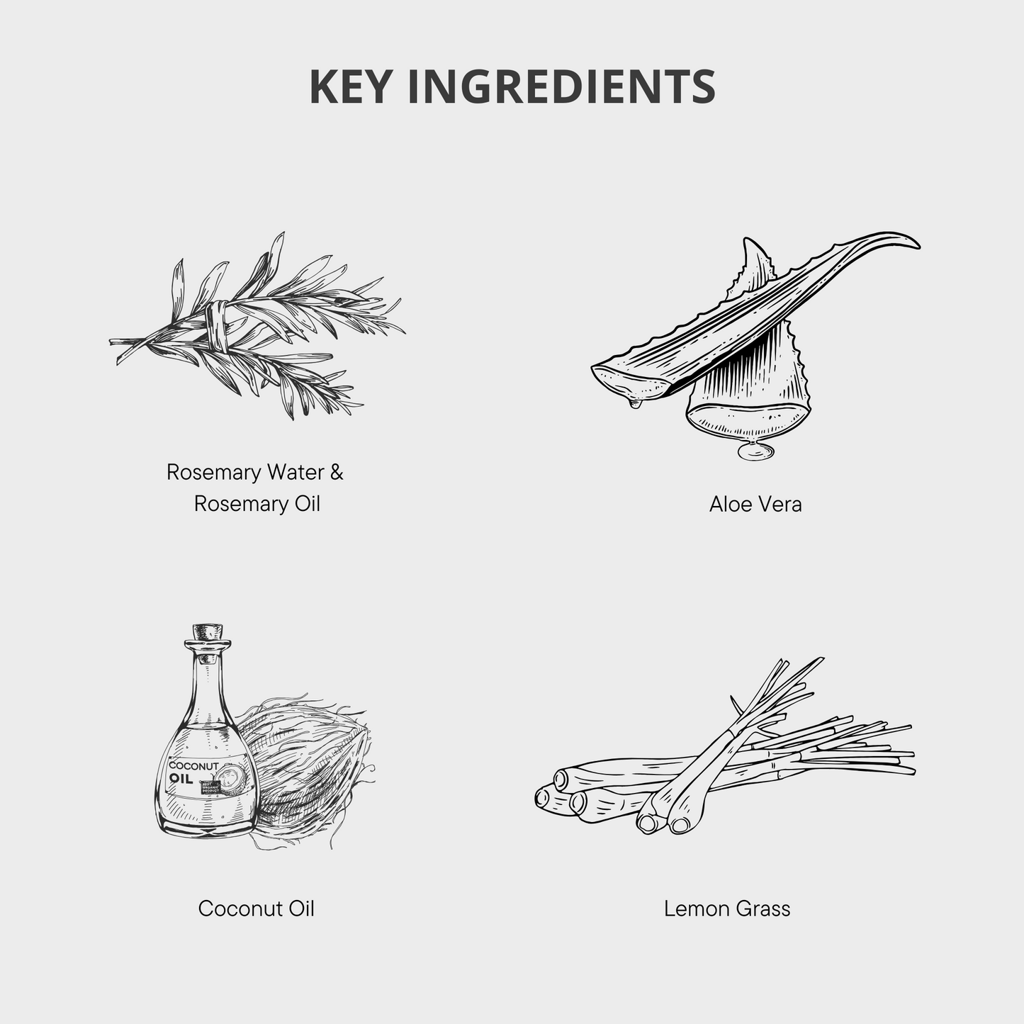 Rosemary Bodywash, Rosemary Handwash, Rosemary Conditioner, Rosemary Shampoo, Rosemary Hair Growth, Healthy Hair, Hair Loss Products, Strong Hair, Rosemary Products, Rosemary Hair Oil, Rosemary Hair Serums, Hair Loss Women, Hair Loss Men