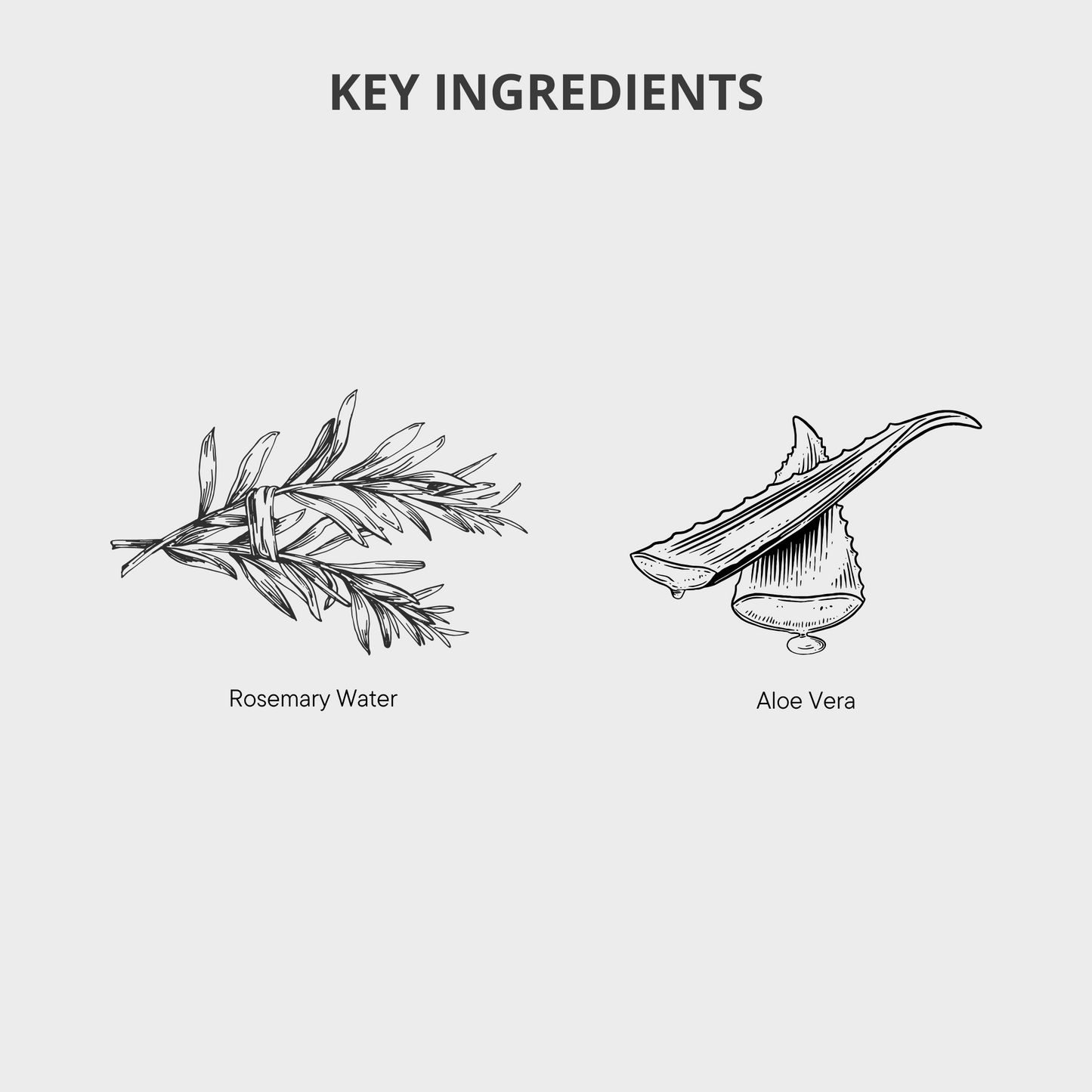 Rosemary Hair Gel, Rosemary Bodywash, Rosemary Handwash, Rosemary Conditioner, Rosemary Shampoo, Rosemary Hair Growth, Healthy Hair, Hair Loss Products, Strong Hair, Rosemary Products, Rosemary Hair Oil, Rosemary Hair Serums, Hair Loss Women, Hair Loss Men