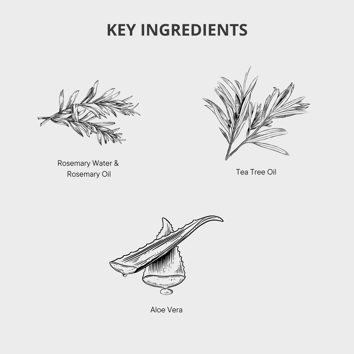 Rosemary Hair Tonic, Rosemary Bodywash, Rosemary Handwash, Rosemary Conditioner, Rosemary Shampoo, Rosemary Hair Growth, Healthy Hair, Hair Loss Products, Strong Hair, Rosemary Products, Rosemary Hair Oil, Rosemary Hair Serums, Hair Loss Women, Hair Loss Men