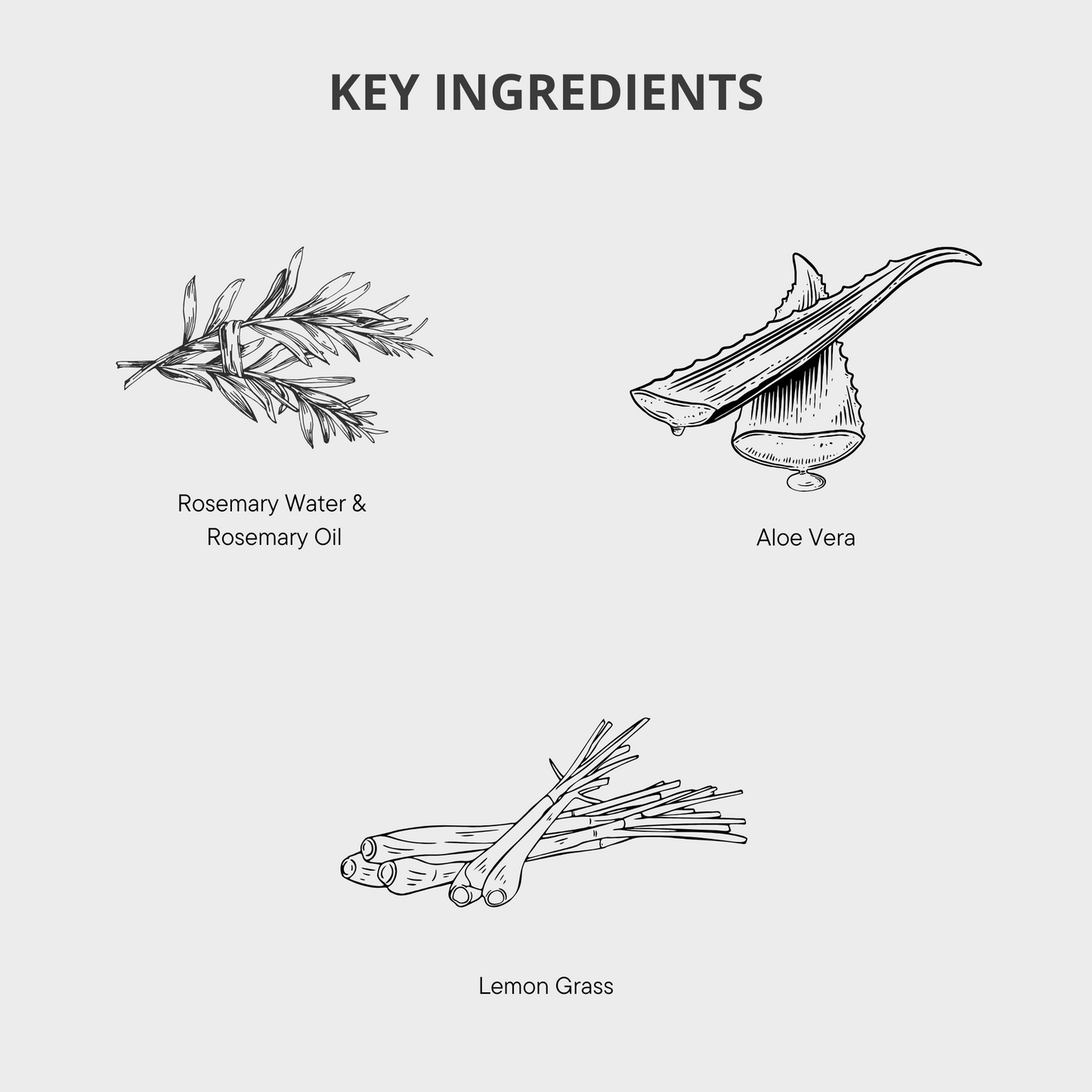 Rosemary Bodywash, Rosemary Handwash, Rosemary Conditioner, Rosemary Shampoo, Rosemary Hair Growth, Healthy Hair, Hair Loss Products, Strong Hair, Rosemary Products, Rosemary Hair Oil, Rosemary Hair Serums, Hair Loss Women, Hair Loss Men