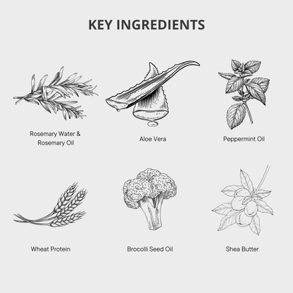 Rosemary and Mint 2-in-1 Shampoo and Conditioner for Hair - 300ml