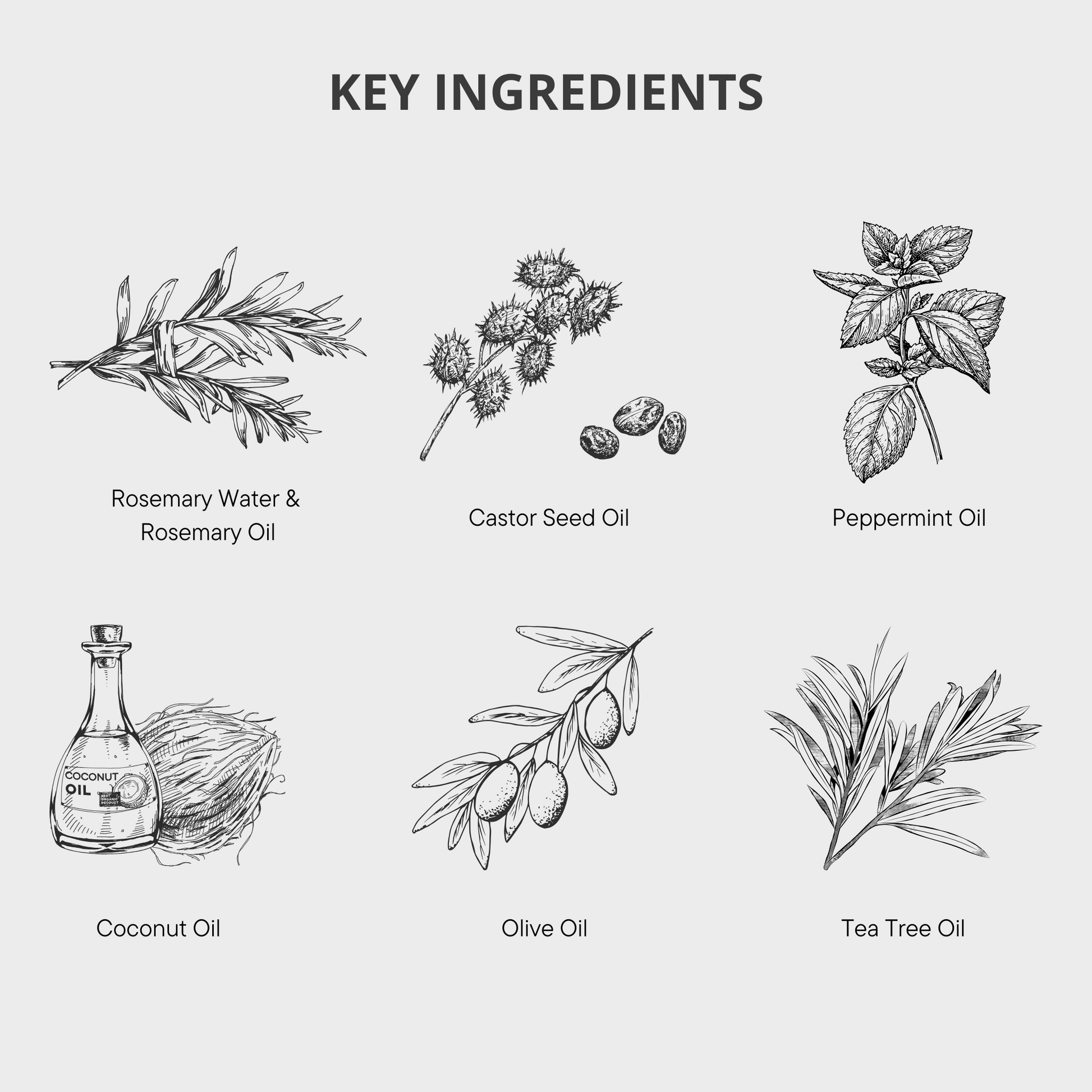 Rosemary Conditioner, Rosemary Shampoo, Rosemary Hair Growth, Healthy Hair, Hair Loss Products, Strong Hair, Rosemary Products, Rosemary Hair Oil, Rosemary Hair Serums, Hair Loss Women, Hair Loss Men 