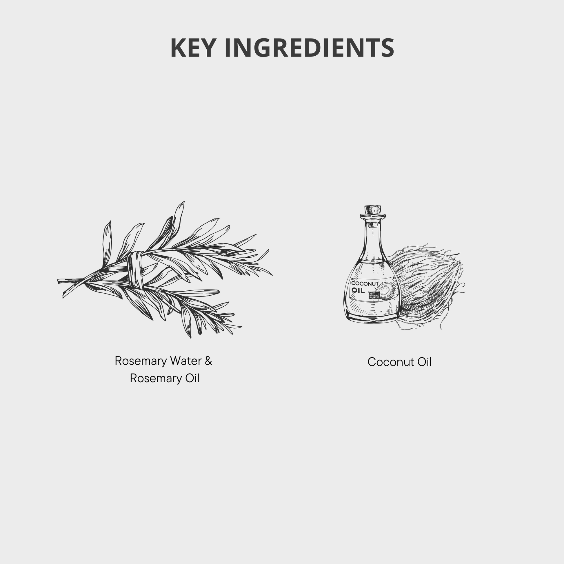 Rosemary Conditioner, Rosemary Shampoo, Rosemary Hair Growth, Healthy Hair, Hair Loss Products, Strong Hair, Rosemary Products, Rosemary Hair Oil, Rosemary Hair Serums, Hair Loss Women, Hair Loss Men 