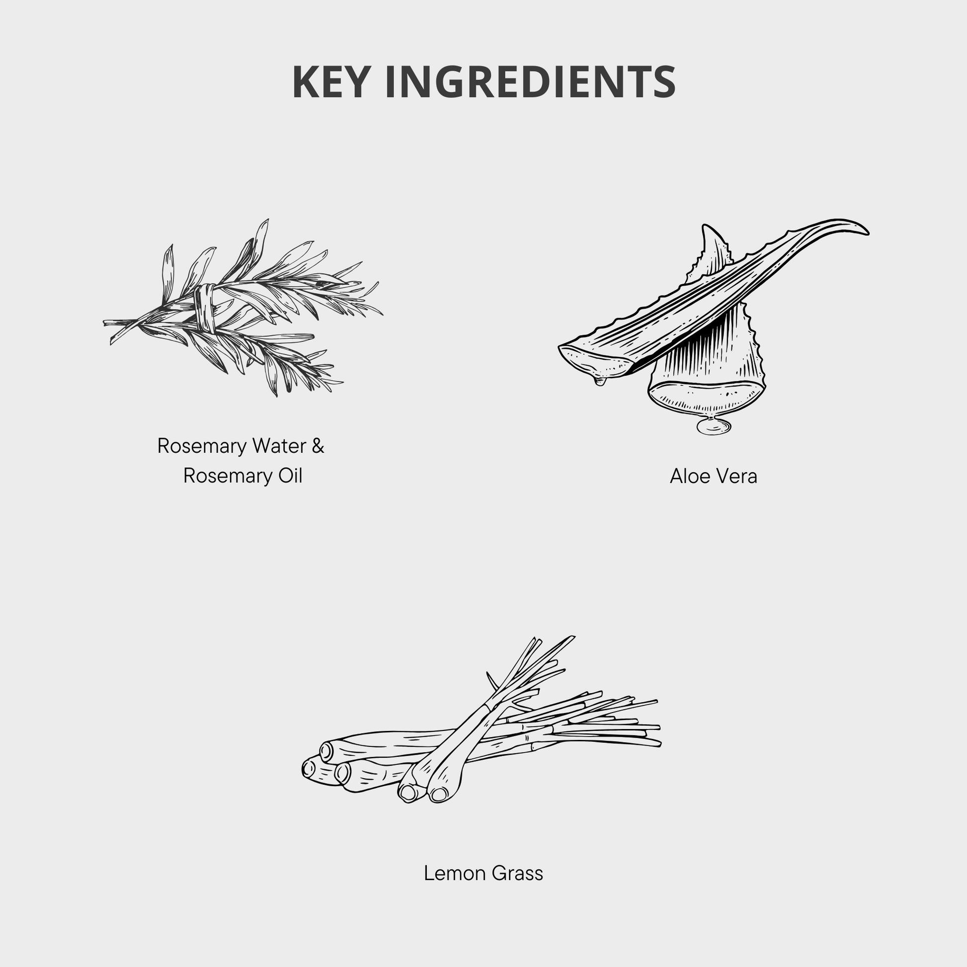 Rosemary Bodywash, Rosemary Handwash, Rosemary Conditioner, Rosemary Shampoo, Rosemary Hair Growth, Healthy Hair, Hair Loss Products, Strong Hair, Rosemary Products, Rosemary Hair Oil, Rosemary Hair Serums, Hair Loss Women, Hair Loss Men 