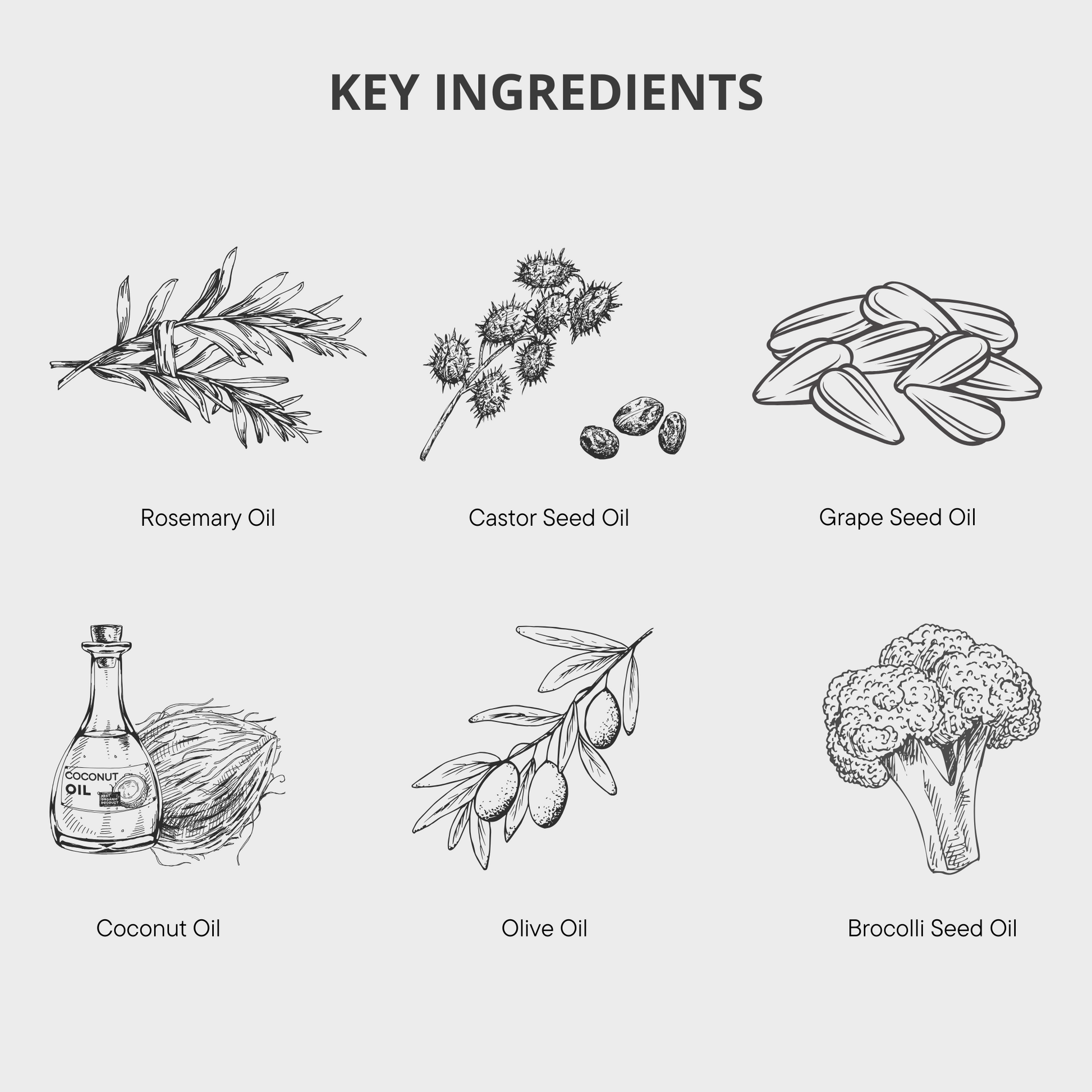 Rosemary Scalp Serum, Rosemary Castor Hair Oil, Rosemary Shampoo, Rosemary Conditioner, Hair Growth, Healthy Hair, Rosemary Bodywash, Rosemary Hand Wash, Hair Loss Products, Strong Healthy Hair, Rosemary Products, Rosemary Hair Oil, Hair Serums, Hair Loss Women, Hair Loss Men 