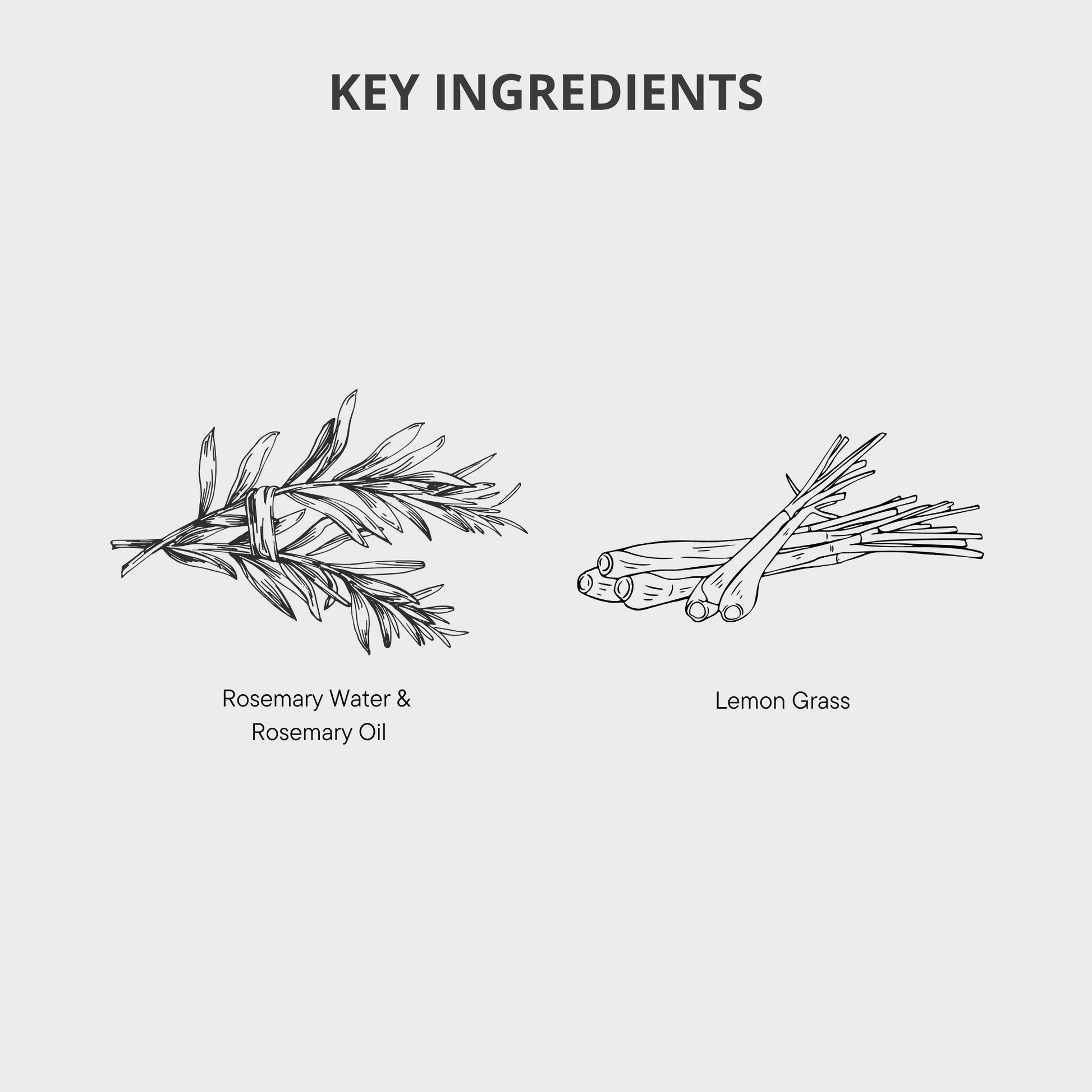 Rosemary Shampoo, Rosemary Hair Growth, Healthy Hair, Hair Loss Products, Strong Hair, Rosemary Products, Rosemary Hair Oil, Rosemary Hair Serums, Hair Loss Women, Hair Loss Men 