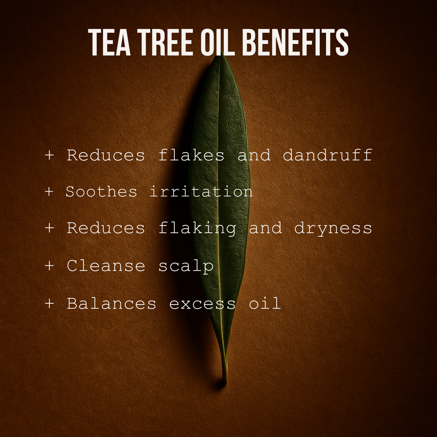 Rosemary Scalp Serum - 100ml